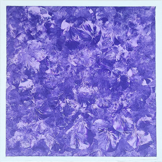 14 x 14 Purple Lavendar White - White Border is about 5-8 inch.jpg